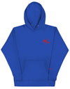 Premium Royal Blue fleece hooded sweatshirt featuring the SLC OG logo and matching drawstrings