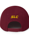 Snapback Hat