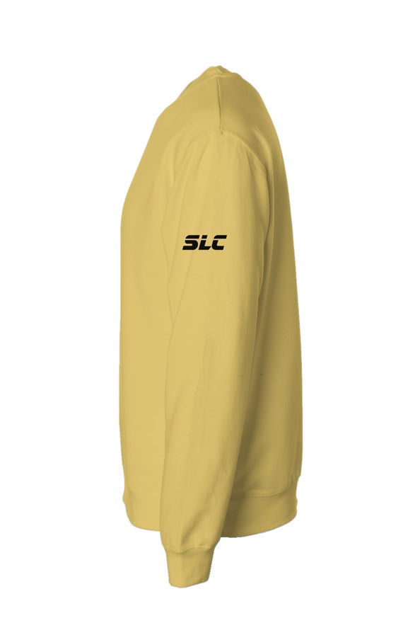 Independent Pigment Dyed Crew Neck