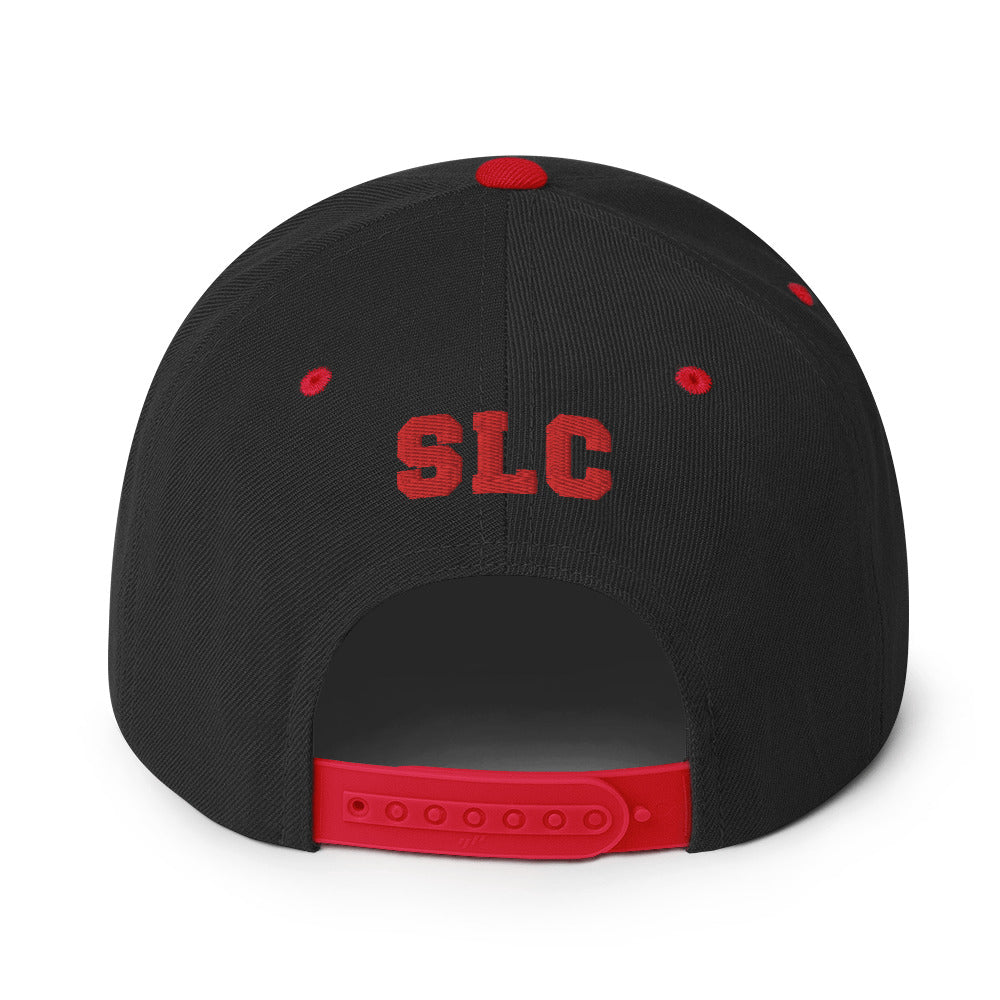 Snapback Hat freeshipping - Something Light Clothing