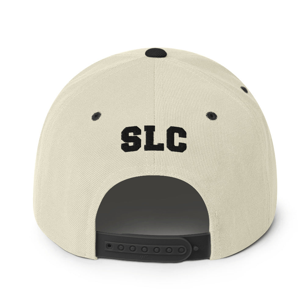 Snapback Hat freeshipping - Something Light Clothing