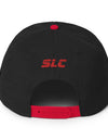 Snapback Hat